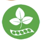 Soja